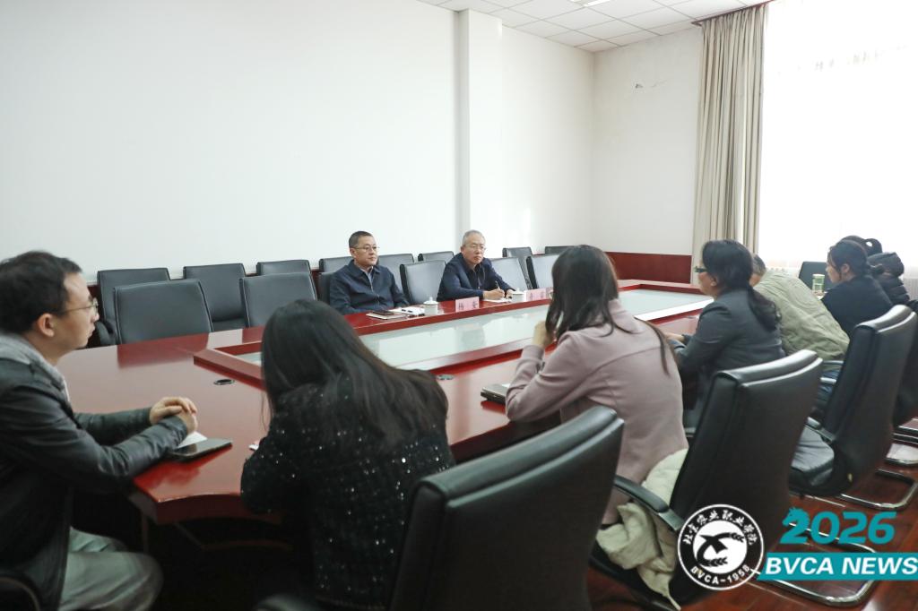 马克思主义学院召开科研工作专家交流座谈会