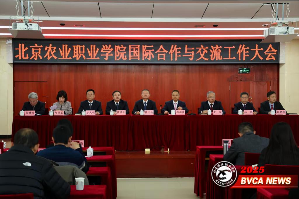 扎实推进国际化办学 着力提升人才培养质量——学校召开国际合作与交流工作大会