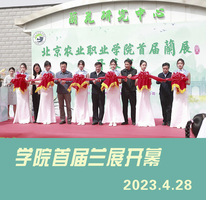 “心兰相随，与兰共美”北京农业职业学院首届兰展开幕
