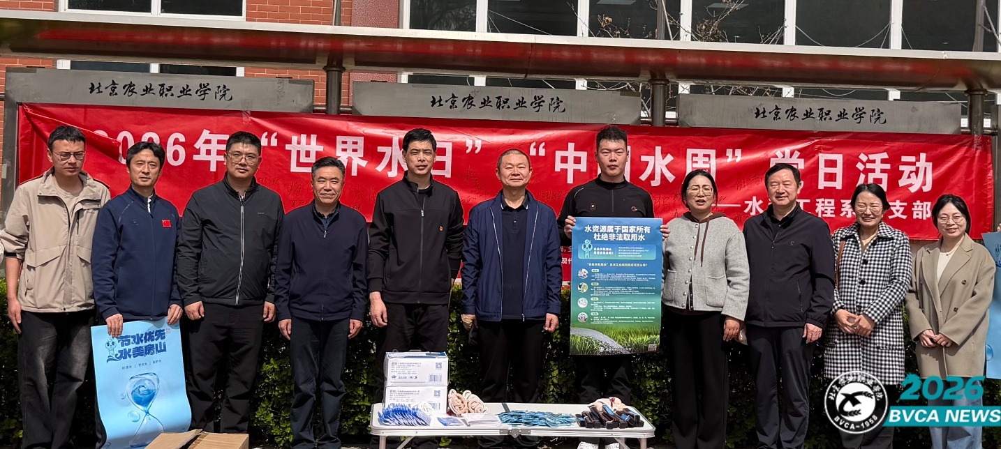 水利工程系党支部开展“世界水日”“中国水周”主题党日系列活动