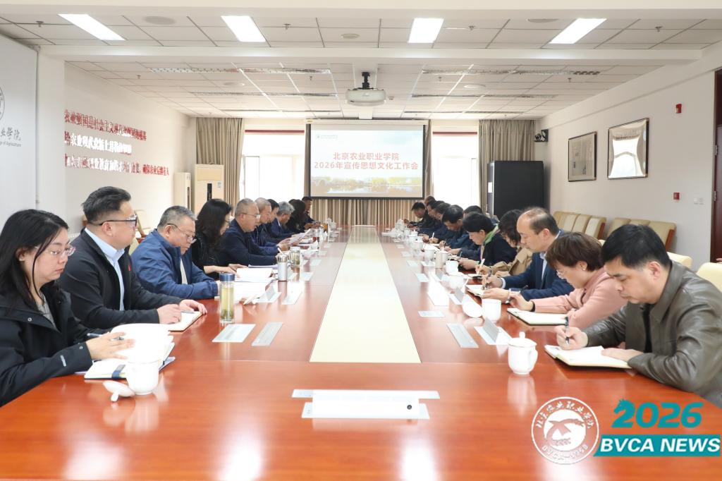 学校研究部署2026年宣传思想文化工作